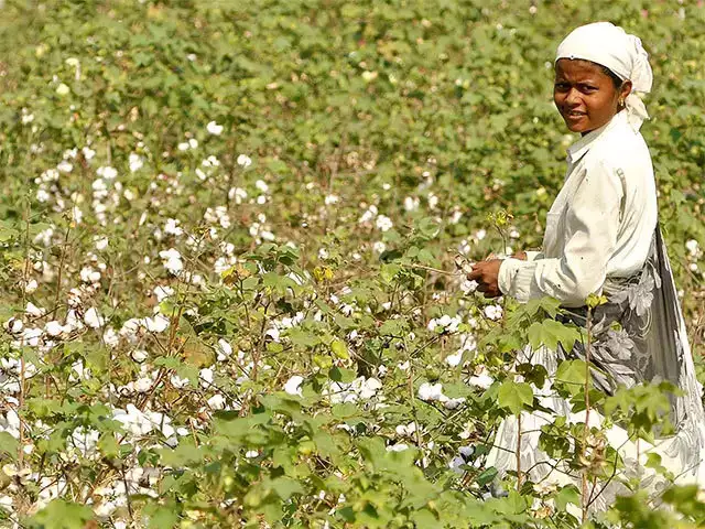 Govt open to raising cash dole to farmers Govt open to raising cash dole to farmers